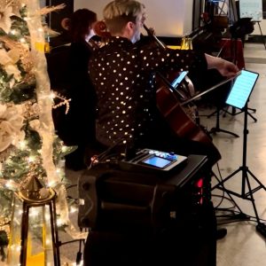 Christmas Concert with Cello Fury and NASH.V.ILL - December 13, 2026 - 6 pm